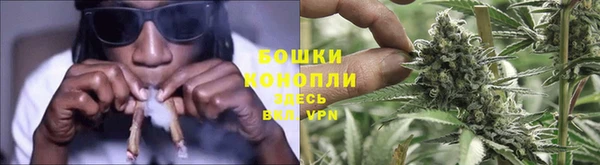 ПСИЛОЦИБИНОВЫЕ ГРИБЫ Аркадак