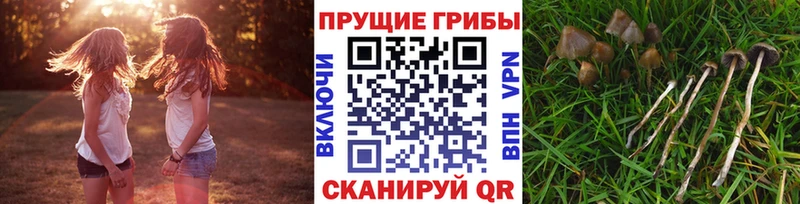 Галлюциногенные грибы MAGIC MUSHROOMS  Свободный 